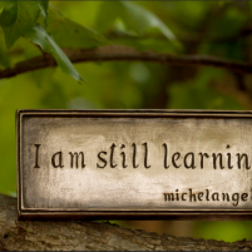 "I am still learning."â Michelangelo